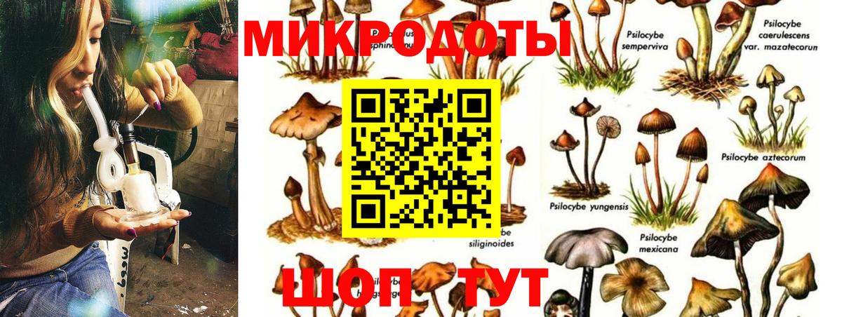 Хабаровск  Галлюциногенные грибы прущие грибы  Вход с VPN 