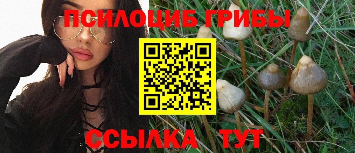 Галлюциногенные грибы MAGIC MUSHROOMS Хабаровск